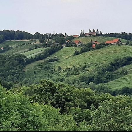 Obstbau Und Gaestezimmer Stani Kitzeck im Sausal Exterior photo